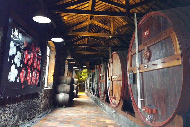 Port Wine Lodges Tour Including 7 Port Wine Tastings (English) - Who this tour is best for (and who should think twice)