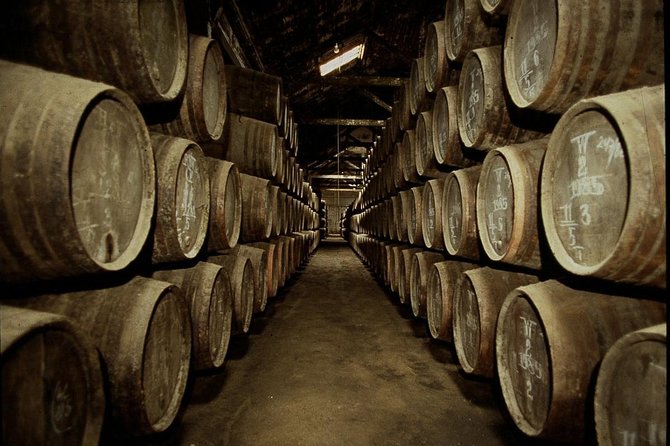 Port Wine Lodges Tour Including 7 Port Wine Tastings (English) - Inside the major producer stop: museum, cellar, and the Reserve tastings