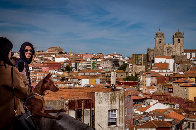 Porto 1/2 Day Walking Photo Tour & Portraits - Logistics that matter: private format, English, and a walkable route