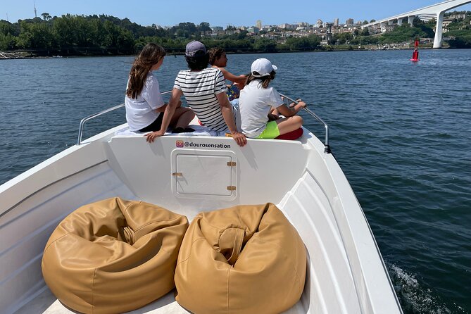 Porto: 2h Private Tour (1 to 6 people) on the Douro River with a local - Onboard feel: comfy seating, relaxed pace, and drinks