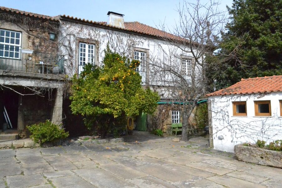Porto: 3 Douro Valley Vineyards Tour with Lunch - Morning Pickup in Porto, Plus the Drive That Sets the Tone
