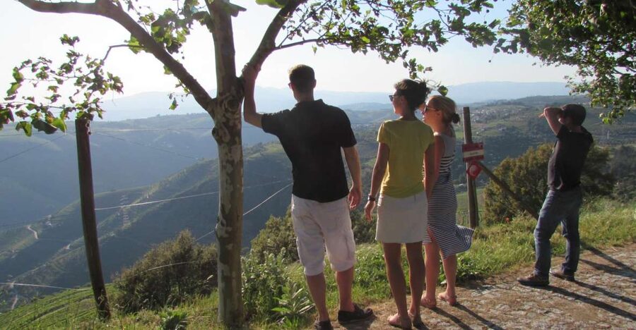 Porto: 3 Douro Valley Vineyards Tour with Lunch - Stop 2 Winery Lunch: Where the Douro Story Turns Into a Meal