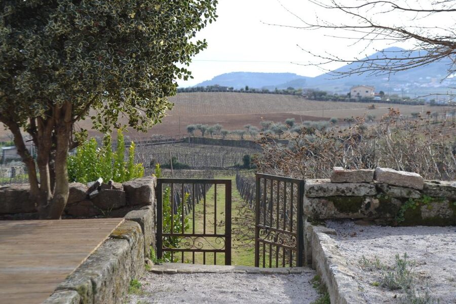 Porto: 3 Douro Valley Vineyards Tour with Lunch - The Drive Back on National Highway 222 and What You Actually See
