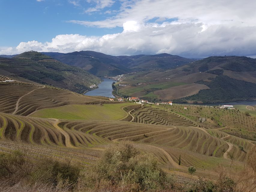 Porto: 3 Douro Valley Vineyards Tour with Lunch - Should You Book It: My Straight Advice