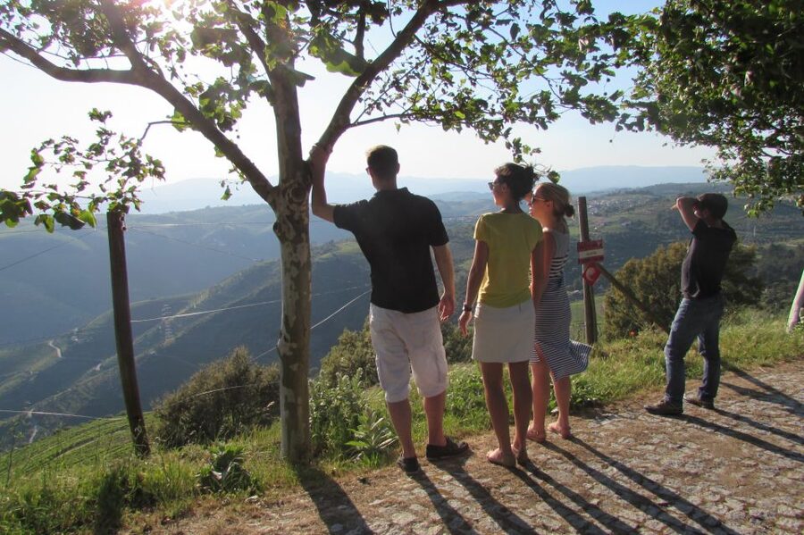 Porto: 3 Douro Valley Vineyards Tour with Lunch - Stop 1 at a Family Vineyard: DOC and Port Tasting With a Real Facility Tour