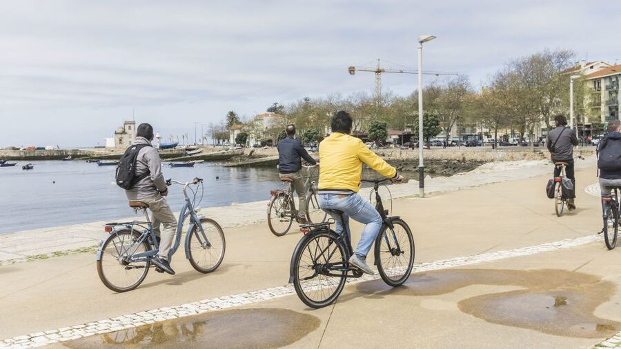 Porto: 3-Hour Bike Tour - Safety and comfort: what to expect on real streets