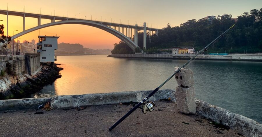 Porto: 3-Hour Bike Tour - Foz do Douro, parks, and the Douro River mouth moment