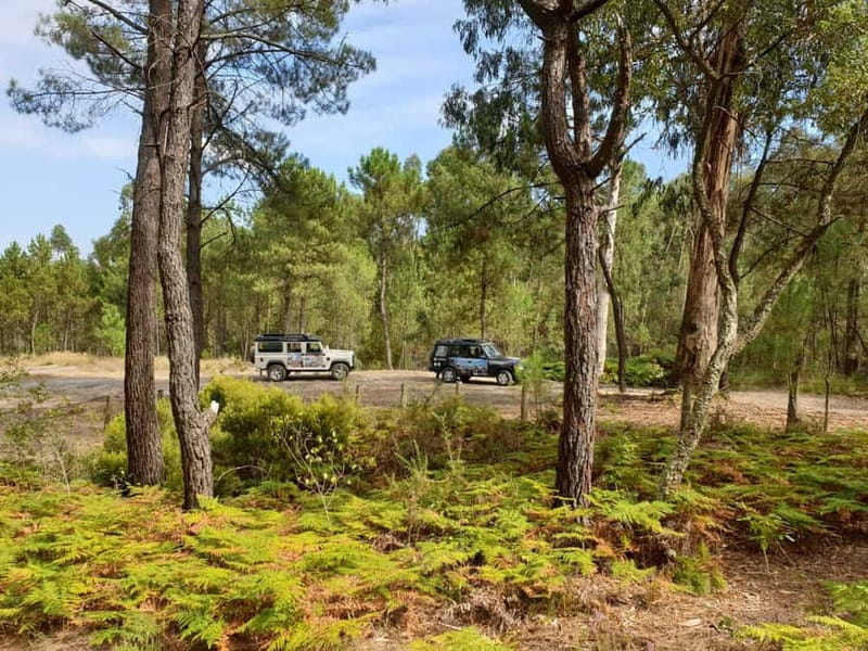 Porto: 4x4 Mountain Tour - Valongo, Viewpoints, and the Roman Gold Story Near Porto