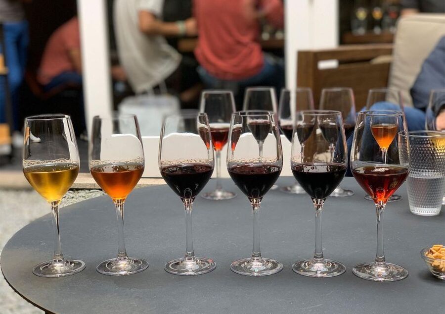 Porto: 5 Port Wine Tasting with Delicious Pairings - Who Should Book This Porto Tasting, and Who Might Not