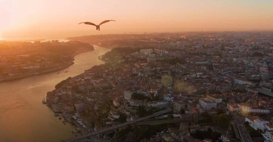 Porto: 5D Flight over de City for all family. - Why a 5D flight is a smart first look at Porto