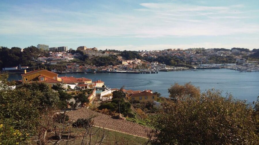 Porto: a ride along the coast in a fun eco-friendly car - Port wine and the guide factor: why names like Ricardo and Elio show up
