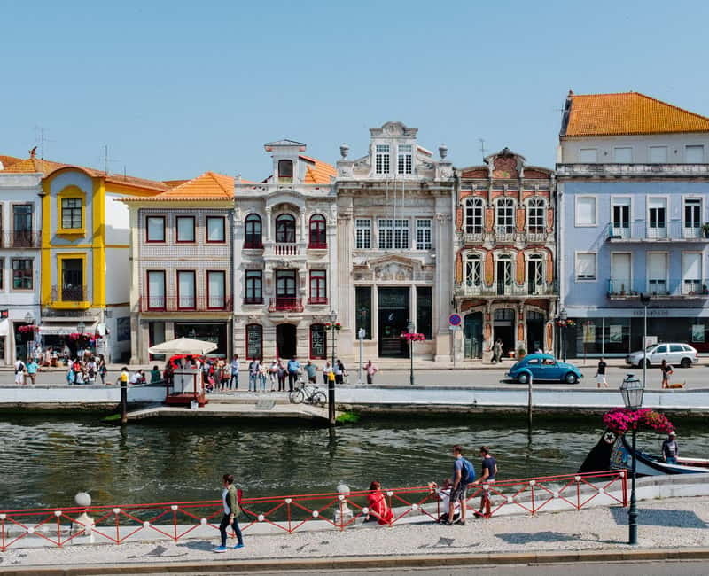 Porto:Aveiro, Cruise, Costa Nova & Capelha da Pedra Full Day - The Moliceiro boat ride in Aveiro: what you’re seeing and how to enjoy it