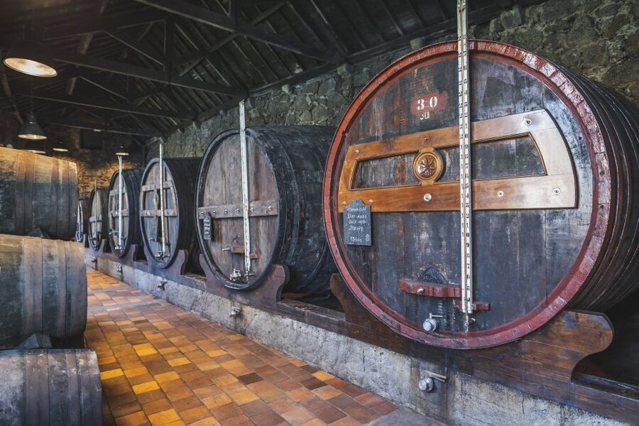 Porto: Burmester Cellar Tour with Tasting & Pairing Options - Burmester Cellars by Luiz I: a great Porto pairing