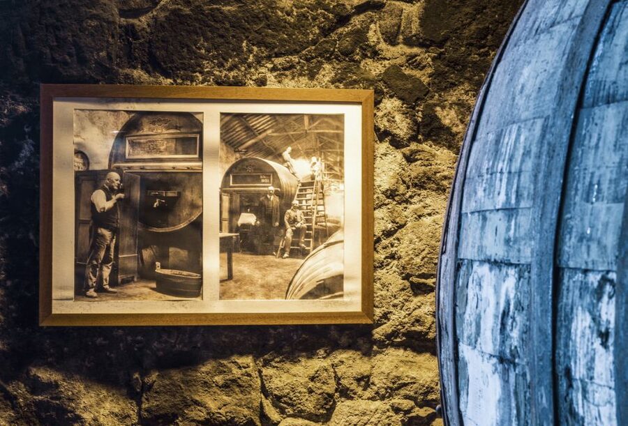 Porto: Burmester Cellar Tour with Tasting & Pairing Options - Who should book this Burmester tour, and who might skip it