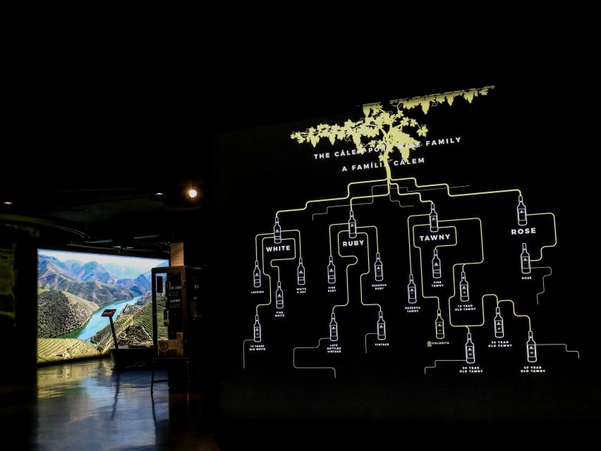 Porto: Cálem Cellar Tour, Interactive Museum & Wine Tasting - The 30-minute guided cellar walk: time, craft, and a lot of explanation