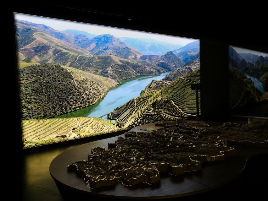 Porto: Cálem Cellar Tour, Interactive Museum & Wine Tasting - Douro demarcation and “vintage” ideas you’ll actually remember