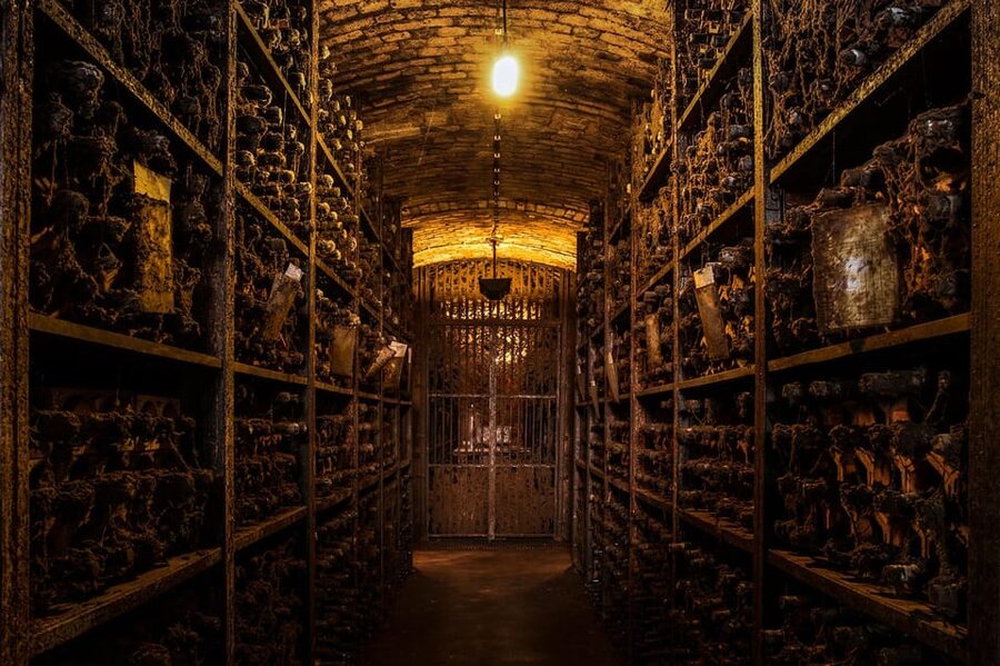 Porto: Carvalhas cellar tour at Real Companhia Velha - Key points to know before you go