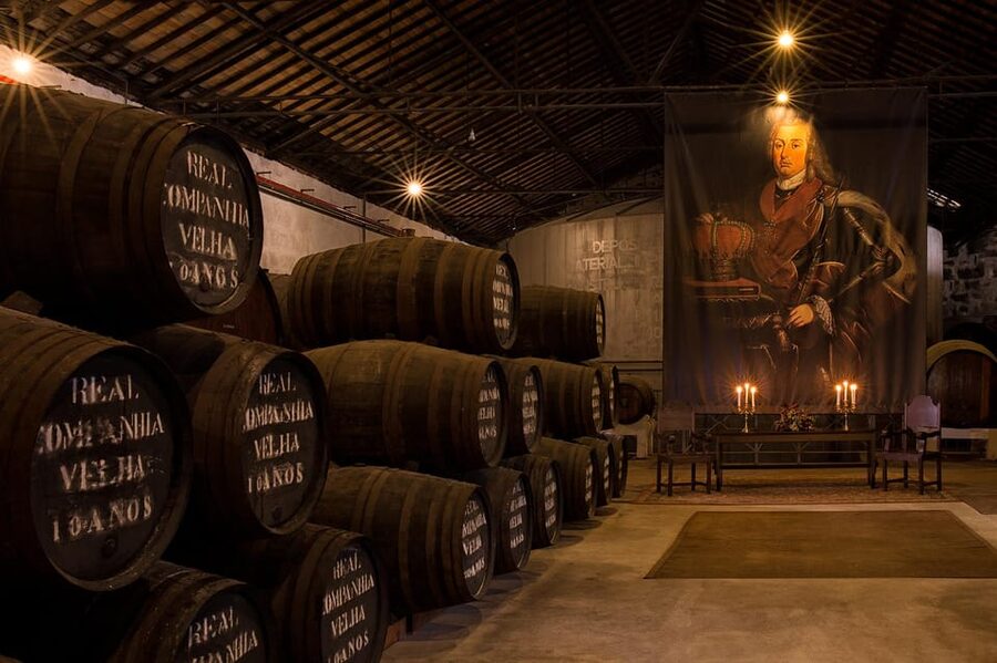 Porto: Carvalhas cellar tour at Real Companhia Velha - Learning the Douro and the winemaking process, step by step