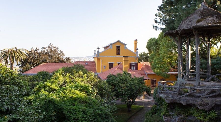 Porto: Casa São Roque Direct Entry Ticket - The House Experience: 1900s Architecture and the Winter Garden