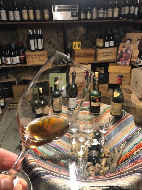 Porto: Cheese and Port Wine Tasting in a Unique Place - Where you meet and what the store tasting setup means for you
