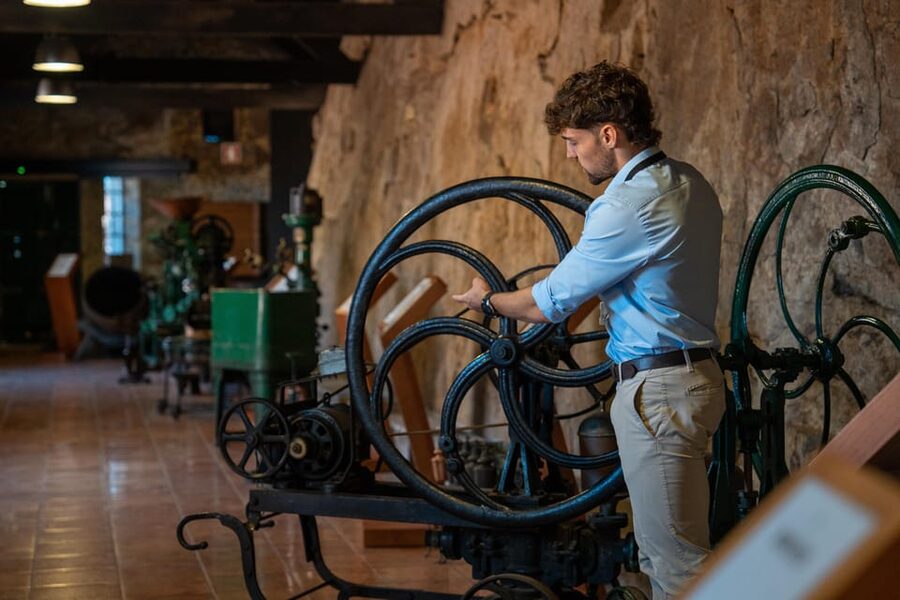 Porto City Full Day Minibus Tour, Wine Tasting & Six Brigdes - Sé Cathedral and the Fernandina Wall: views plus context, with less ticket hassle