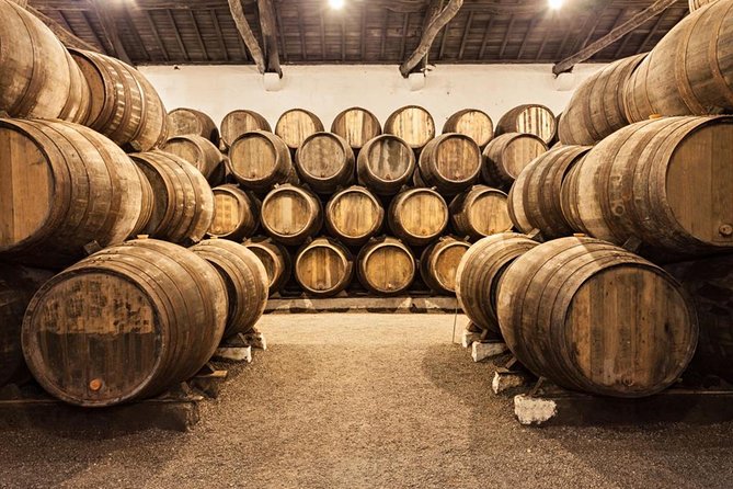 Porto City Tour with Wine Tasting - Meeting Point in Central Porto, and Why Finding It Changes Everything