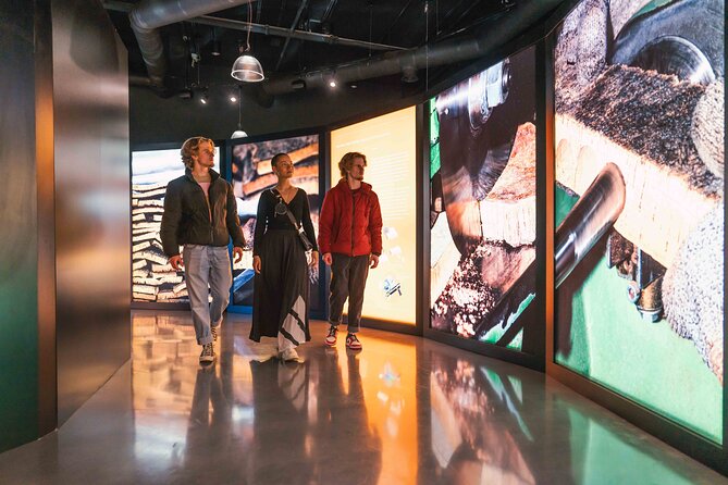 Porto: Cork Museum - Interactive and Family Friendly Museum - What You Do During the Visit (1 to 2 Hours That Moves)