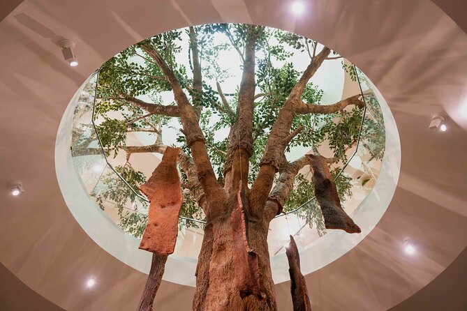 Porto: Cork Museum - Interactive and Family Friendly Museum - Gift Shop Reality Check, and How to Spend Smart