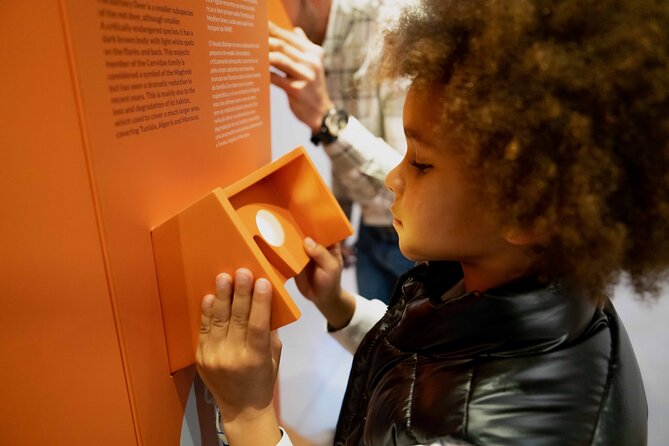 Porto: Cork Museum - Interactive and Family Friendly Museum - Who This Museum Fits Best