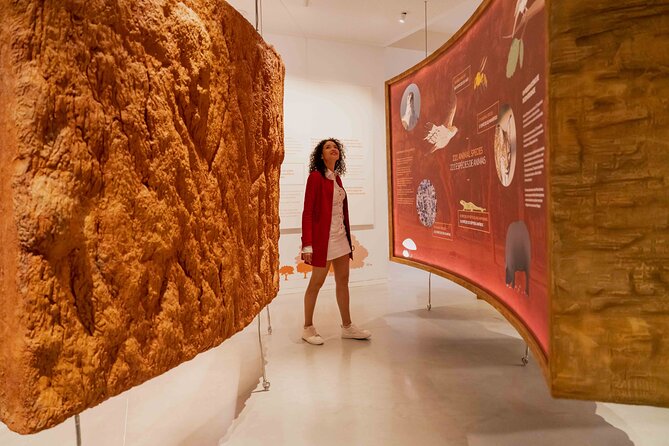 Porto: Cork Museum - Interactive and Family Friendly Museum - The Interactive Stuff, and Why It’s Worth Your Time