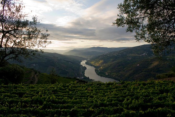 Porto: Day Trip to Douro including lunch and Rivercruise - Cais do Pinhão river cruise and winery visit: the heart of the day