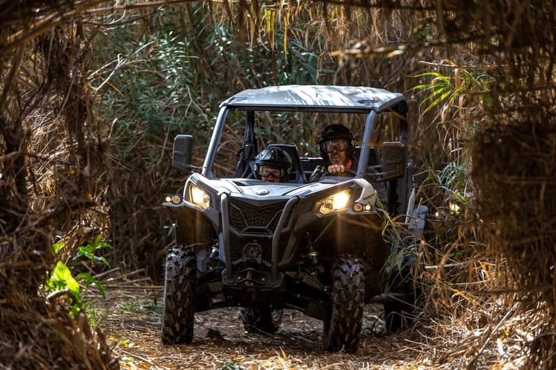 Porto: Dirt and Dust Tour by Oporto Buggy - Quick Hits Before You Go