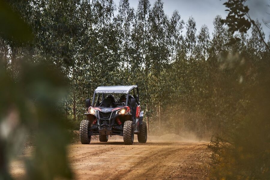 Porto: Dirt and Dust Tour by Oporto Buggy - Who This Tour Suits Best, and Who Should Skip It