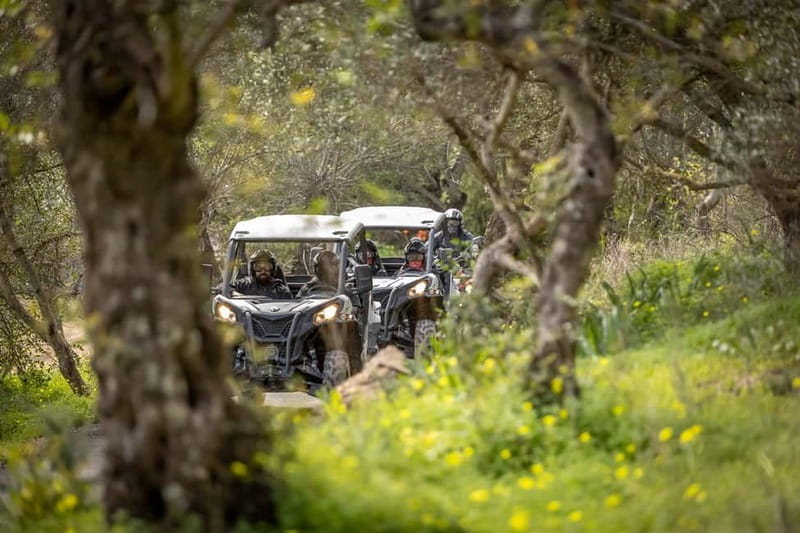 Porto: Dirt and Dust Tour by Oporto Buggy - Why This Porto Buggy Ride Feels Like More Than a Stunt