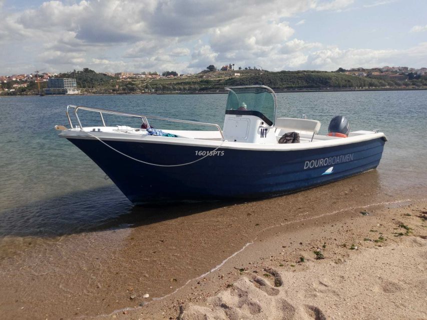 Porto: Douro River Cruise w/ Portuguese Wines & Local Host - Downriver Toward São Pedro da Afurada, Cabedelo, and Foz Velha