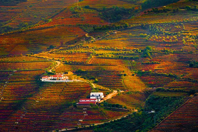 Porto: Douro Valley, 2 Wine Regions, Sommelier, Boat Trip & Lunch - Miradouro Stop En Route: Quick Views on the Way to Sabrosa