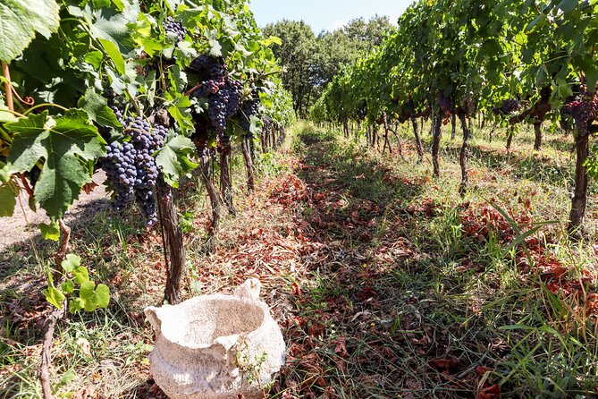 Porto: Douro Valley, 2 Wine Regions, Sommelier, Boat Trip & Lunch - Sabrosa Winery: 5th-Generation Douro, Aging Ports, and DOC Tastings