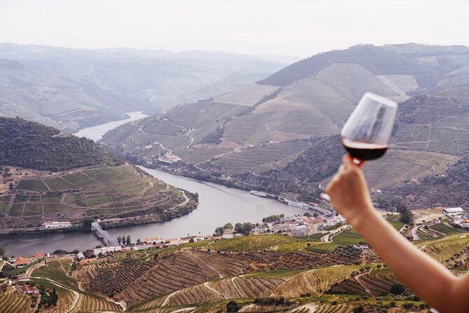 Porto: Douro Valley, 2 Wine Regions, Sommelier, Boat Trip & Lunch - Guides, Sommelier Energy, and the Way the Day Is Taught