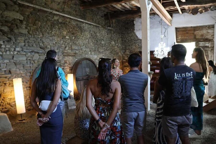 Porto: Douro Valley, 2 Wineries, Lunch, and 1-Hour Boat Tour - Should you book this Douro Valley tour from Porto?