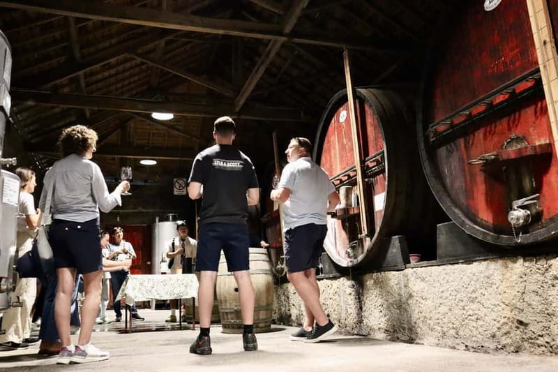 Porto: Douro Valley, 2 Wineries, Lunch & Private Boat Trip - Practical Stuff: What to Bring and What to Watch For