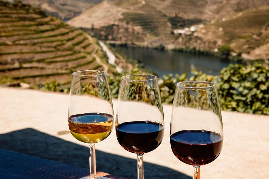 Porto: Douro Valley & Amarante Wine, Food & River Tour - Key Highlights That Make This Tour Work