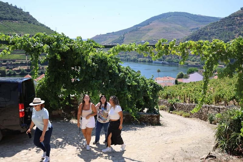 Porto: DOURO VALLEY and AMARANTE City Half-day Tour - What the $81 price really buys you