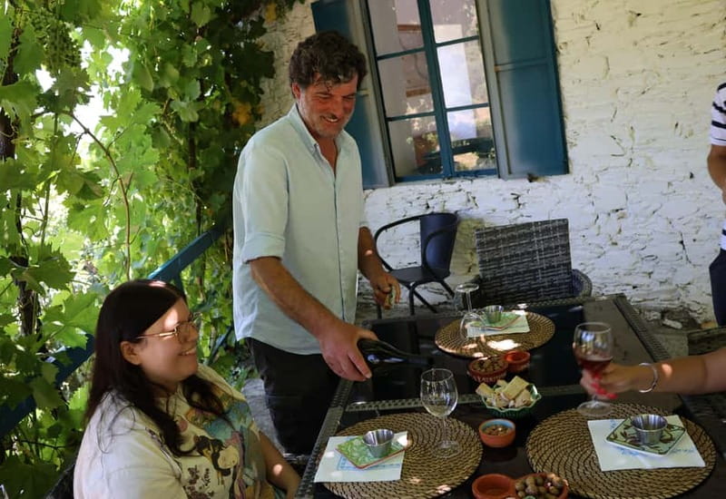 Porto: DOURO VALLEY and AMARANTE City Half-day Tour - The big picture: Douro Valley plus Amarante in 6 hours