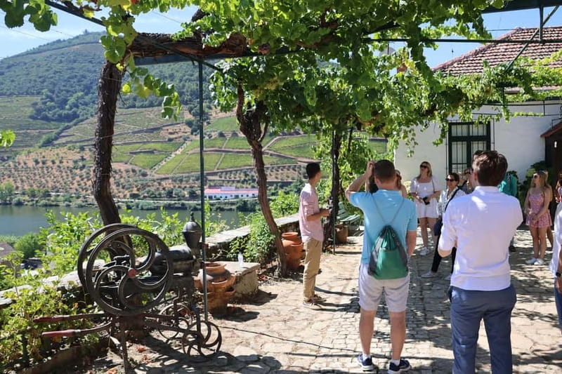 Porto: DOURO VALLEY and AMARANTE City Half-day Tour - The scenic drive: N323 views and N222 photo stops