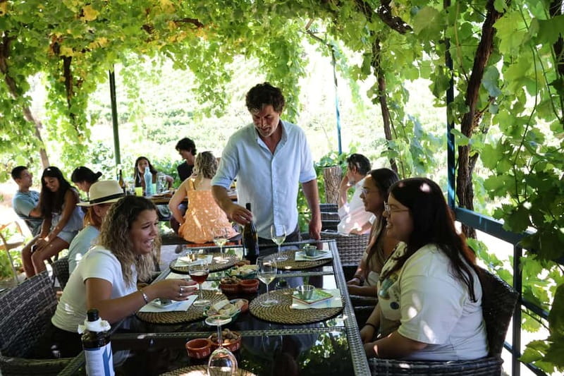 Porto: DOURO VALLEY and AMARANTE City Half-day Tour - The family winery visit and tasting: the heart of the day