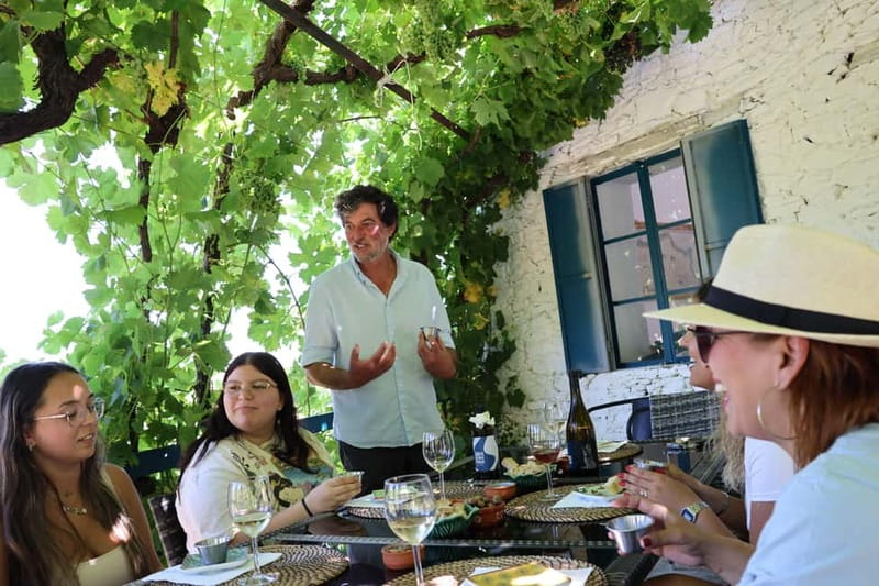 Porto: DOURO VALLEY and AMARANTE City Half-day Tour - Getting to Amarante: why the town stop feels like a reward