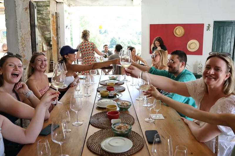 Porto: DOURO VALLEY and AMARANTE City Half-day Tour - The small 8-seater van: better conversation, better rhythm