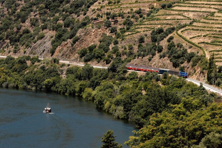 Porto: Douro Valley Full-Day Boat, Train, and Lunch Tour - From Porto to the Douro Vines: The 75-Minute Van Ride That Sets the Mood