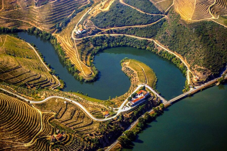 Porto: Douro Valley Full-Day Boat, Train, and Lunch Tour - What to Expect From the Groups, Pacing, and Timing