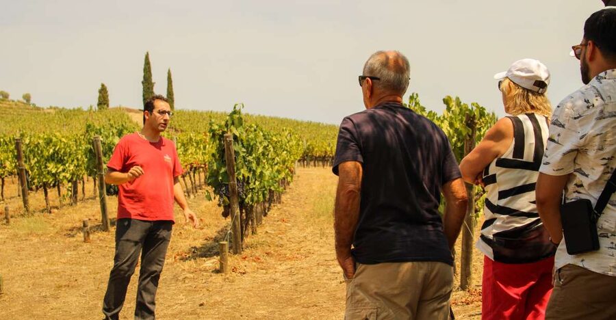 Porto: Douro Valley History & Wine Tour with Cruise & Lunch - Getting from Porto to the Douro Valley, without it feeling like a detour